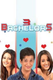 3 Bachelors (2012) Hindi HD