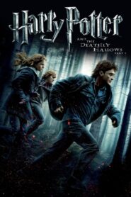 Harry Potter and the Deathly Hallows: Part 1 (2010) Hindi Dubbed